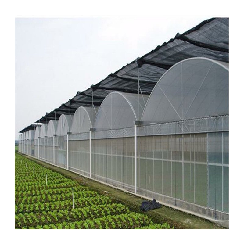 Large Commercial Green Houses Multi-Span Agriculture Greenhouse Cheap plastic single firm greenhouse for plants growing
