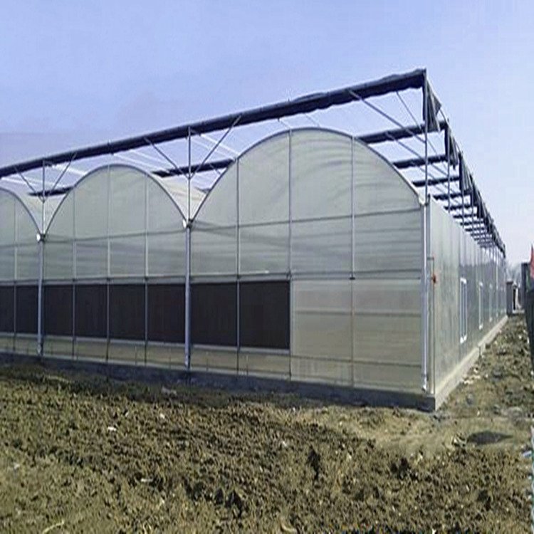 Large Commercial Green Houses Multi-Span Agriculture Greenhouse Cheap plastic single firm greenhouse for plants growing