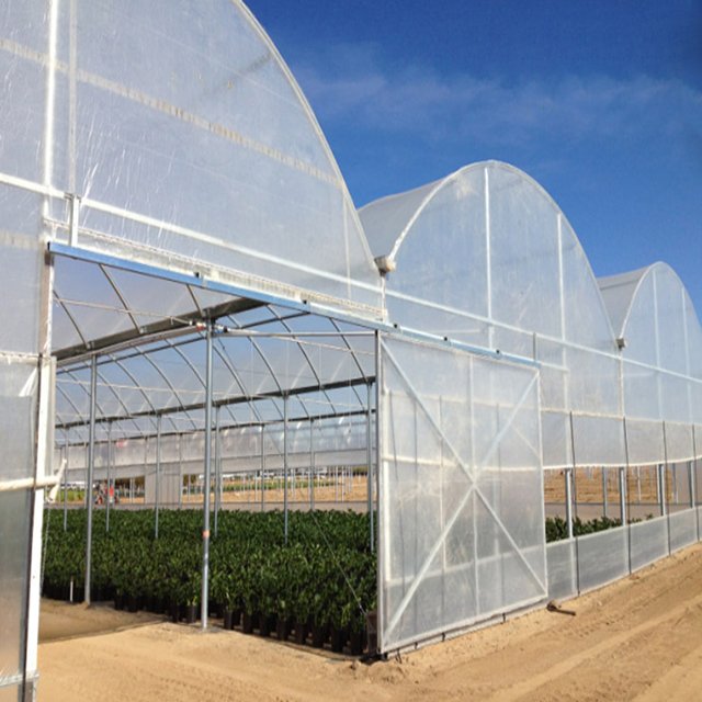 Large Commercial Green Houses Multi-Span Agriculture Greenhouse Cheap plastic single firm greenhouse for plants growing