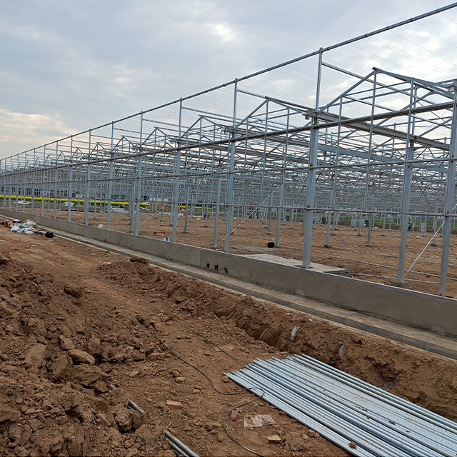 Large Glass Greenhouses for Tomato Plant Growth Hydroponic Agricultural Greenhouses Green Color