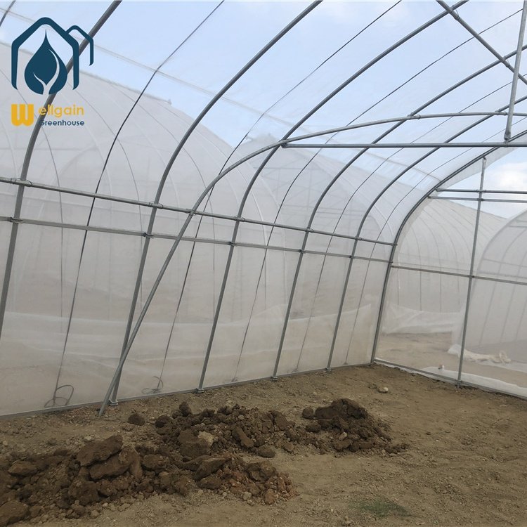 Low cost horticulture tropical metal frame polytunnel greenhouse for sale farming agriculture large outdoor green house