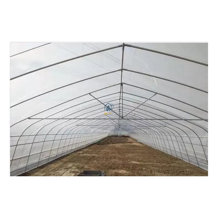 Low cost agricultural greenhouse tomato hydroponic greenhouse Large Size High Tunnel Agricultural Greenhouse for Tomato
