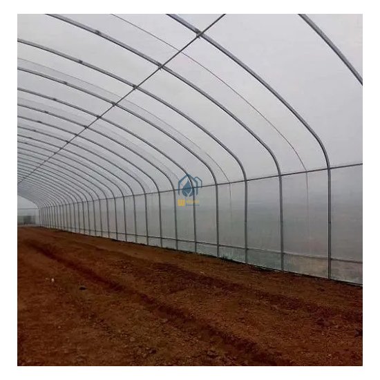 Low cost agricultural greenhouse tomato hydroponic greenhouse Large Size High Tunnel Agricultural Greenhouse for Tomato