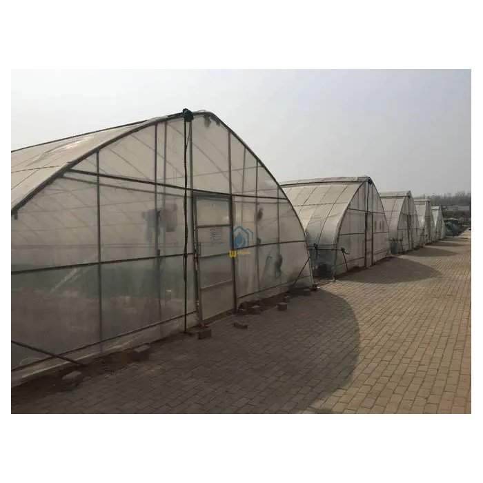Low cost agricultural greenhouse tomato hydroponic greenhouse Large Size High Tunnel Agricultural Greenhouse for Tomato