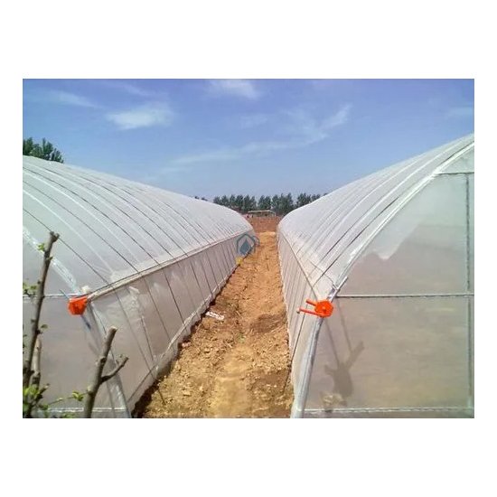 Low cost agricultural greenhouse tomato hydroponic greenhouse Large Size High Tunnel Agricultural Greenhouse for Tomato