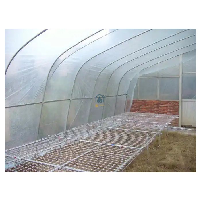 Low cost agricultural greenhouse tomato hydroponic greenhouse Large Size High Tunnel Agricultural Greenhouse for Tomato