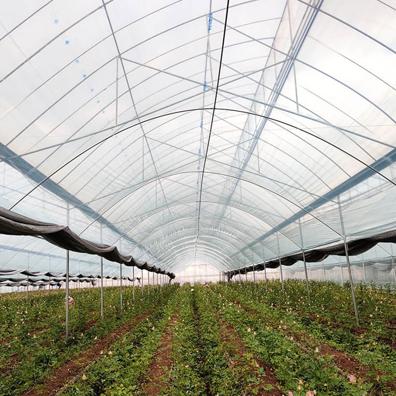 2024 New Product Low-Cost Hydroponic Greenhouse Growing Systems Custom Orders with MOQ for Agriculture
