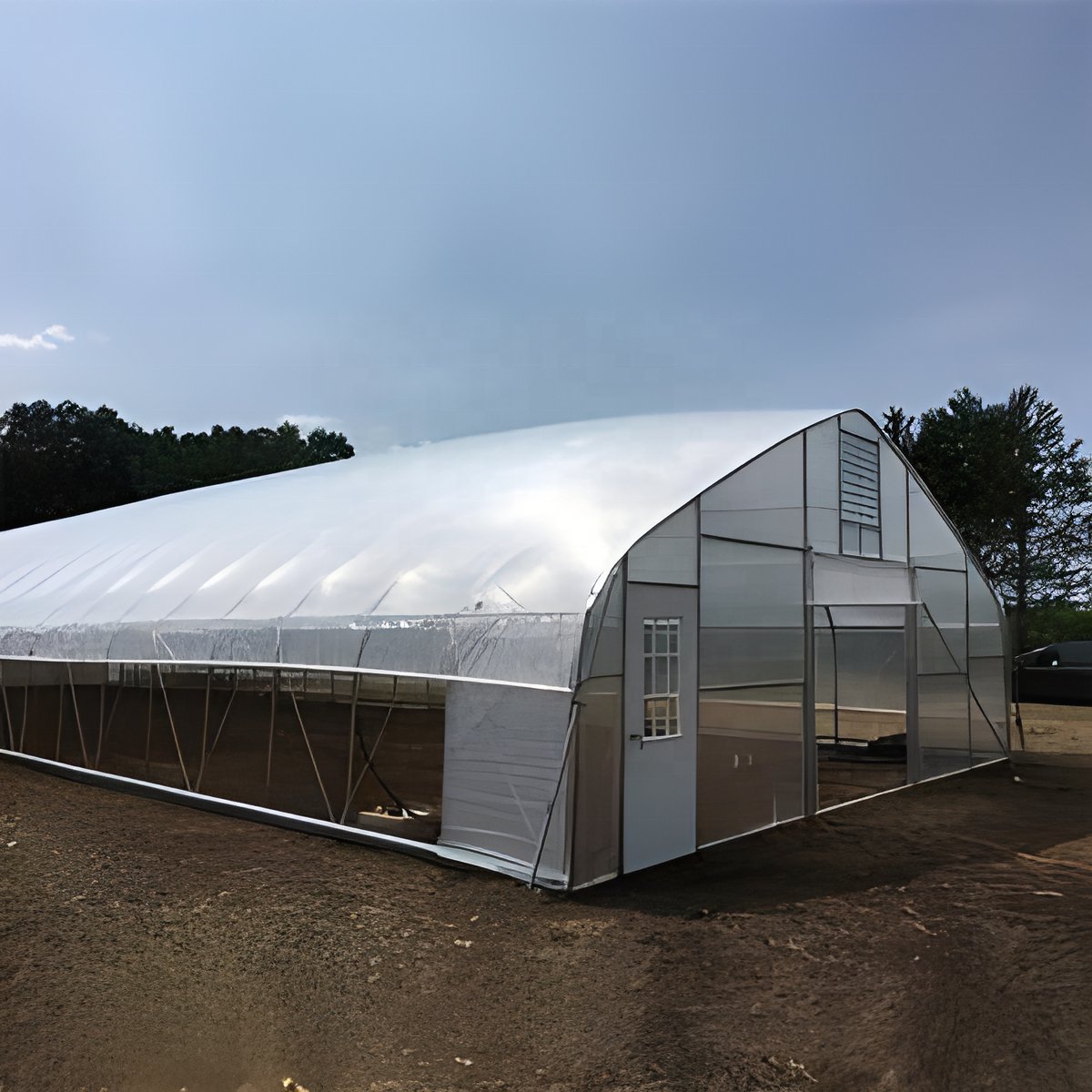 Agricultural Poly high tunnel agriculture Tomato Greenhouse For Sale