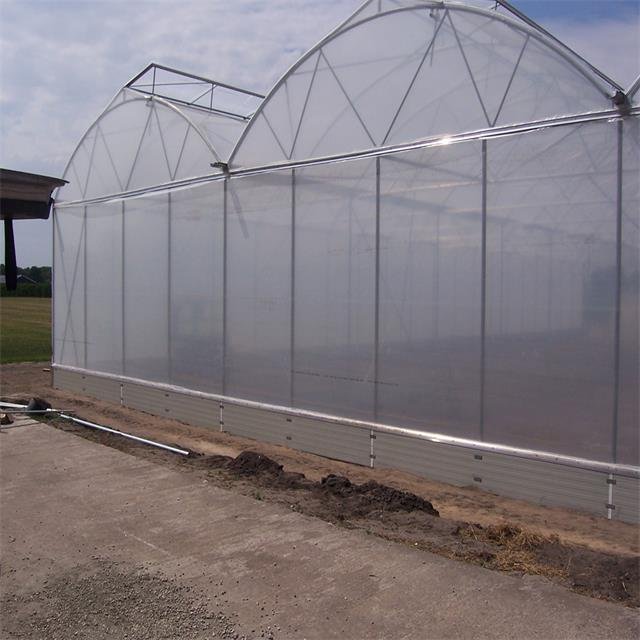 Agriculture large green house metal frame multispan vegetables growing tunnel multi span film greenhouse