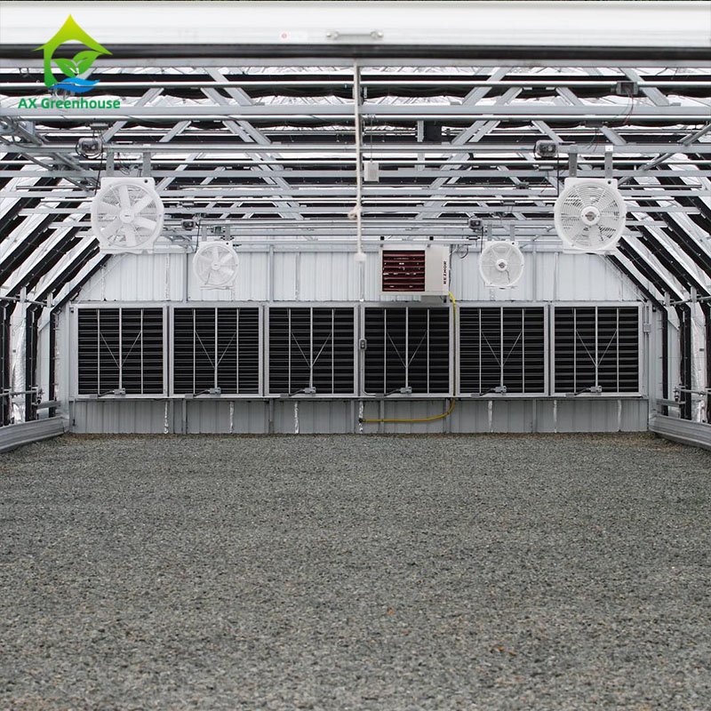 Medical/mushroom growing agricultural greenhouses Hemp Automatic blackout greenhouse with hydroponics system for sale