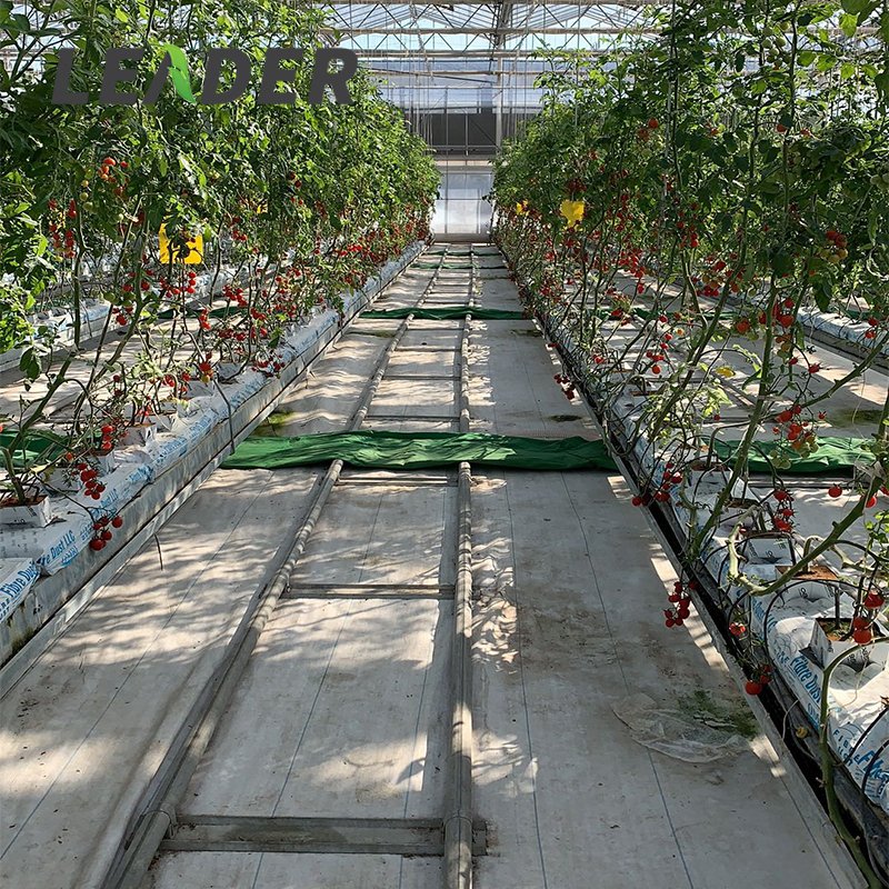 Agricultural vegetable tunnel greenhouse Soiless cultivation galvanized steel growing gutter kit cocopeat trough with support