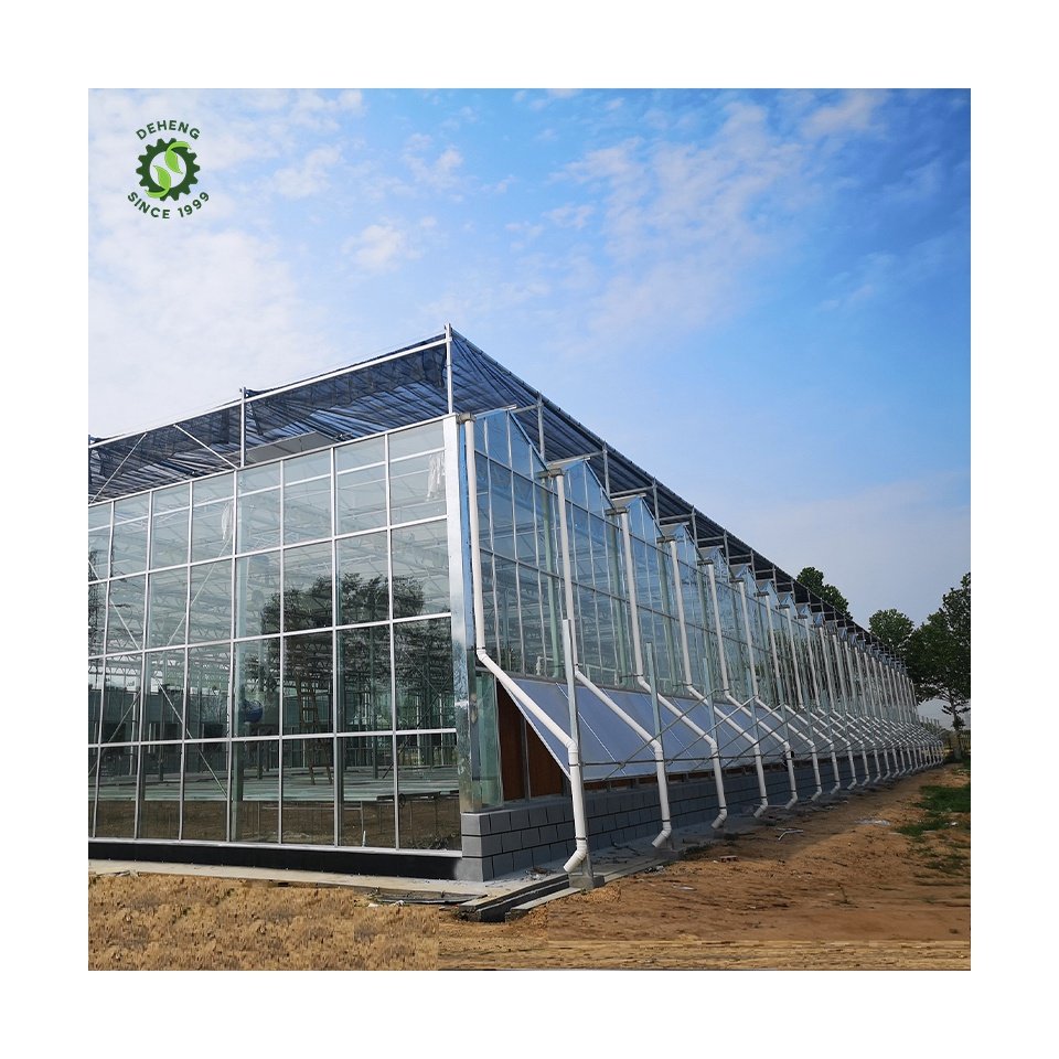 Hot Selling Good Quality Agricultural Greenhouses Glass Multi-Span Glass Greenhouse Hydroponic Greenhouse For Sale China