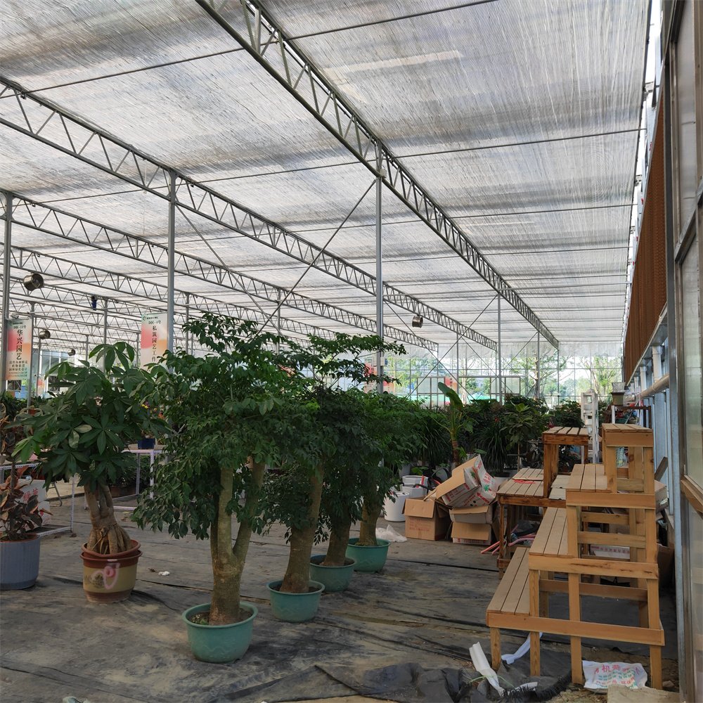 Venlo Commercial Automated Plant Hydroponics Tempered Glass Greenhouse Multi-span Agricultural Greenhouses For Sale
