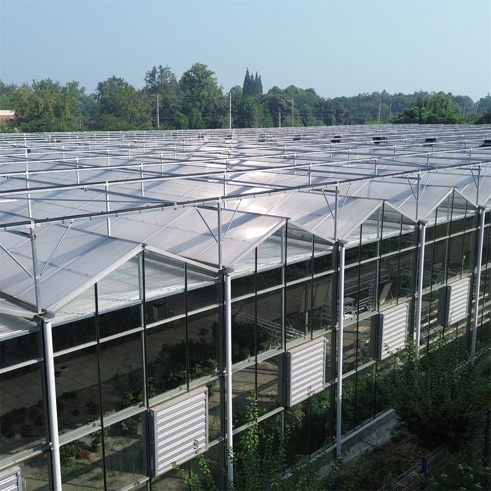 Venlo Commercial Automated Plant Hydroponics Tempered Glass Greenhouse Multi-span Agricultural Greenhouses For Sale