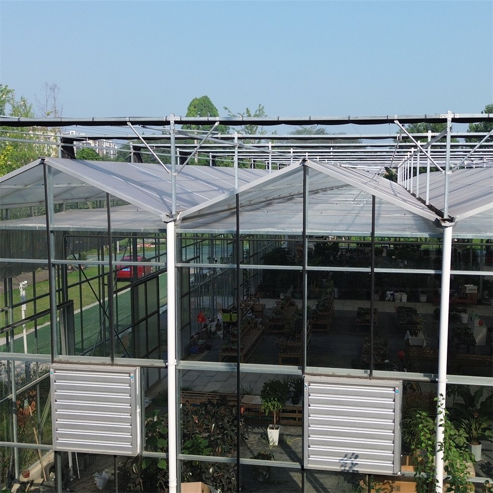 Venlo Commercial Automated Plant Hydroponics Tempered Glass Greenhouse Multi-span Agricultural Greenhouses For Sale