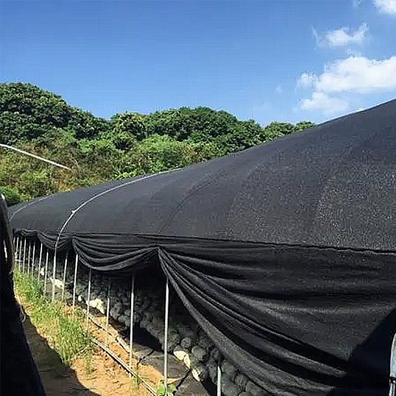Low cost waterproof greenhouse shade net rolls sun shade cloth for garden carport