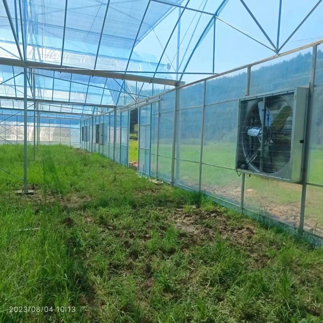Commercial High Tunnel Greenhouse Flower Growing Large PVC LDPE Steel Low Cost Single Double Agricultural Greenhouse