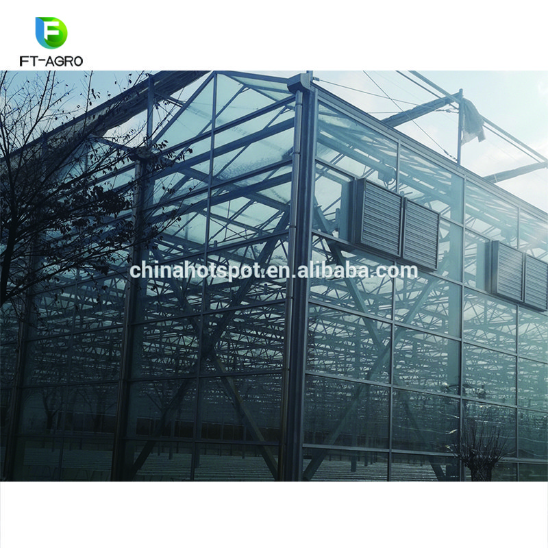 50m*10m Venlo Type Glass Greenhouse for vegetables fruits and flowers with complete systems