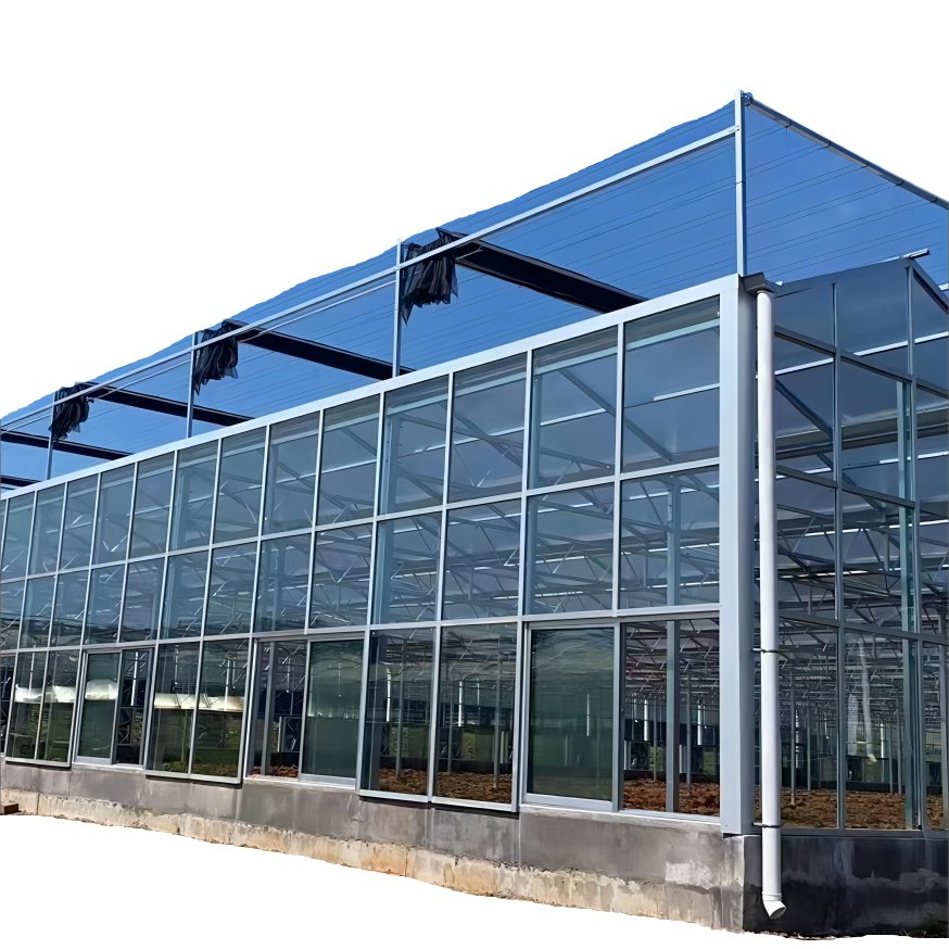 Flower growing Galvanized Steel Frame Solar Glass greenhouse/Large glass agricultural greenhouses