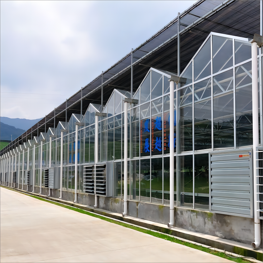 Flower growing Galvanized Steel Frame Solar Glass greenhouse/Large glass agricultural greenhouses