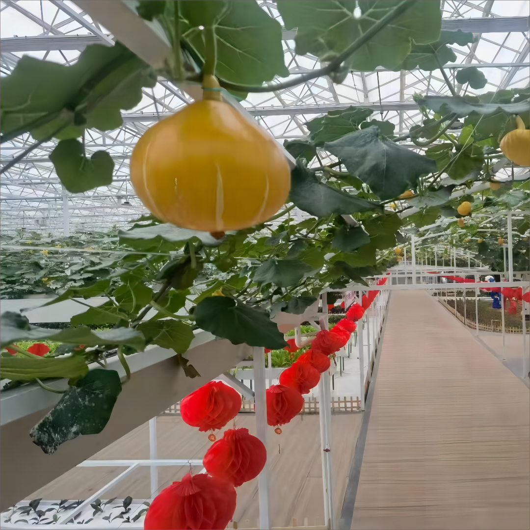 Flower growing Galvanized Steel Frame Solar Glass greenhouse/Large glass agricultural greenhouses