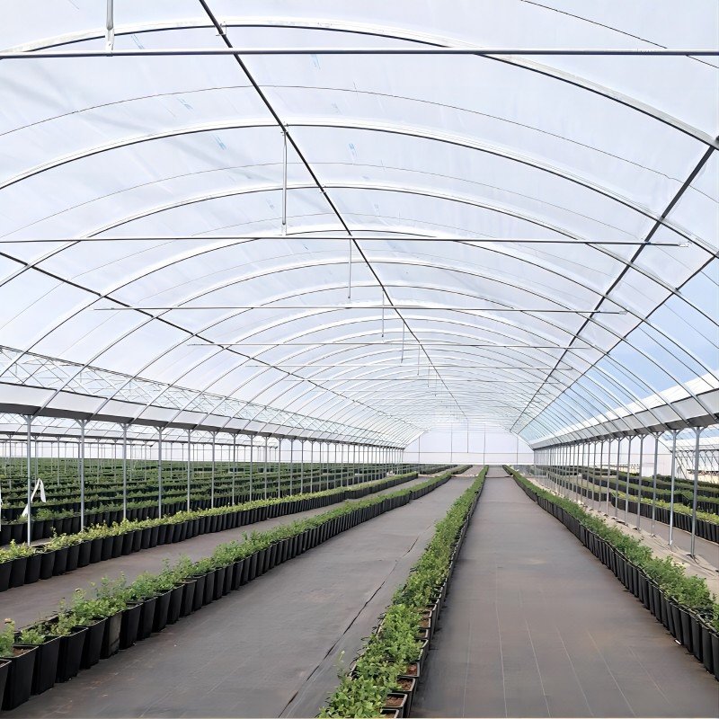 High Quality Cheap Small Plastic Greenhouses for Nursery China National Standard Agricultural Greenhouses for Sale