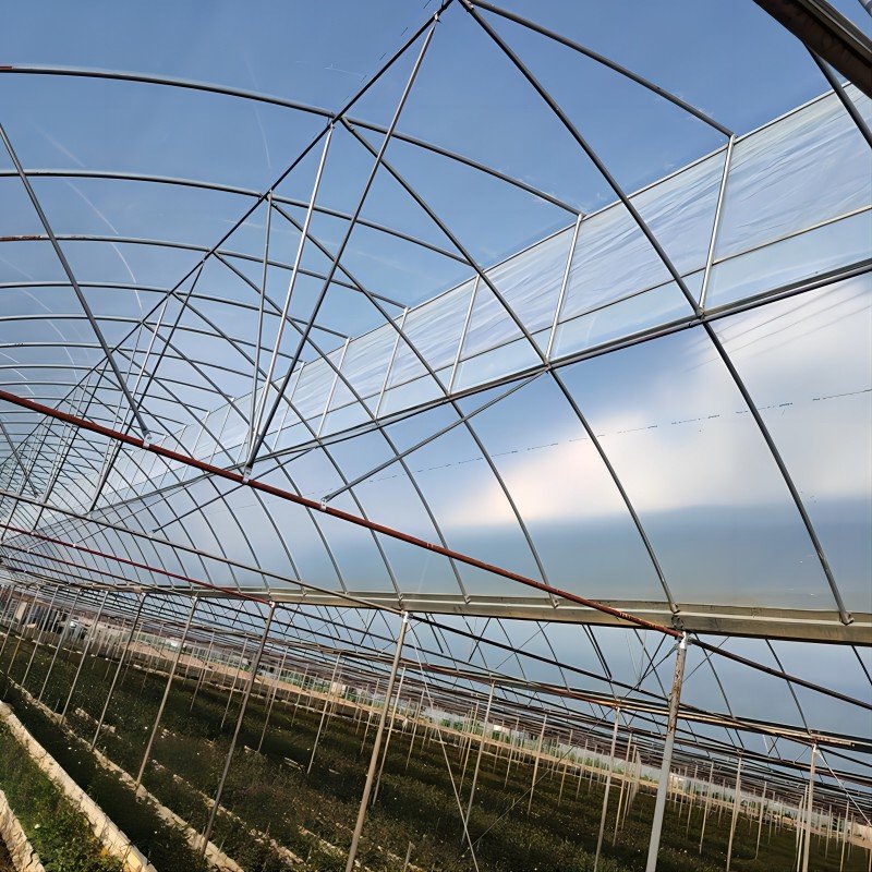 High Quality Cheap Small Plastic Greenhouses for Nursery China National Standard Agricultural Greenhouses for Sale