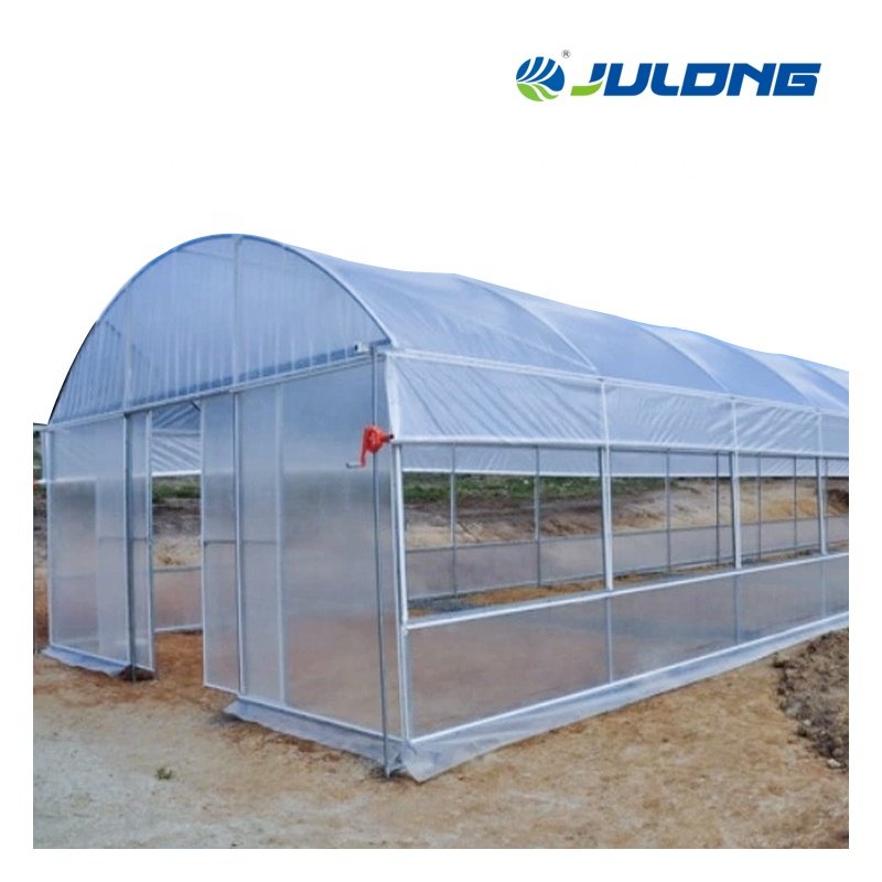 Agriculture Greenhouse Hydroponics System Vertical Farming Single-span Greenhouse Vegetable