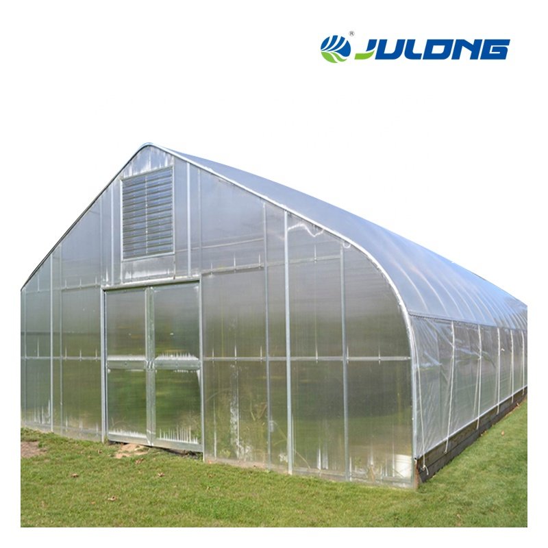 Agriculture Greenhouse Hydroponics System Vertical Farming Single-span Greenhouse Vegetable