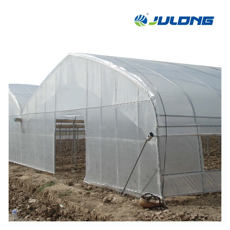 Agriculture Greenhouse Hydroponics System Vertical Farming Single-span Greenhouse Vegetable