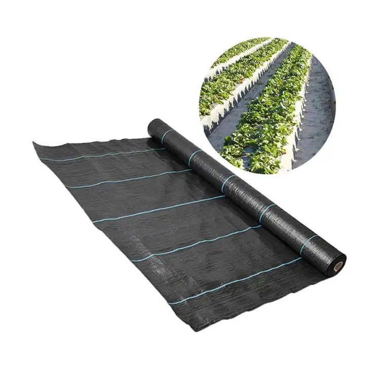 Agricultural anti grass ground cover fabric agricultural greenhouse covering Weed block cloth weed mat