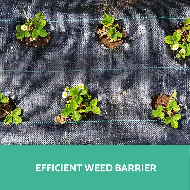 Agricultural anti grass ground cover fabric agricultural greenhouse covering Weed block cloth weed mat