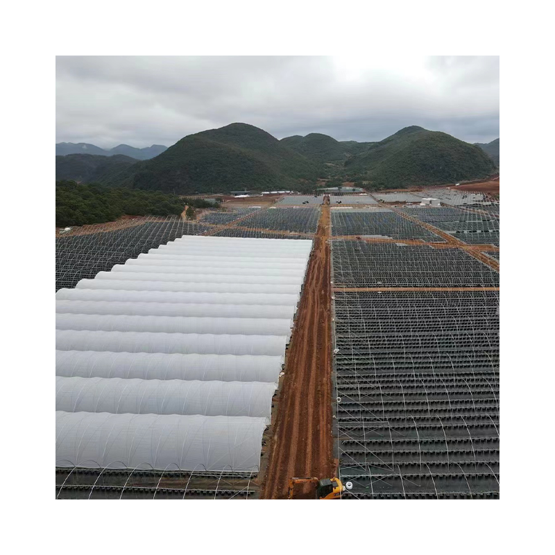 Low Cost Customized Commercial Poly Tunnel Plastic Film UV Resistant Arches Greenhouse For Vegetable Growing