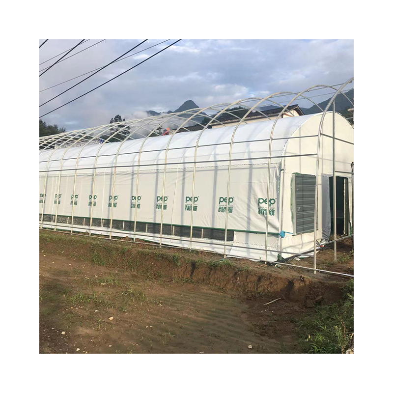 Low Cost Customized Commercial Poly Tunnel Plastic Film UV Resistant Arches Greenhouse For Vegetable Growing