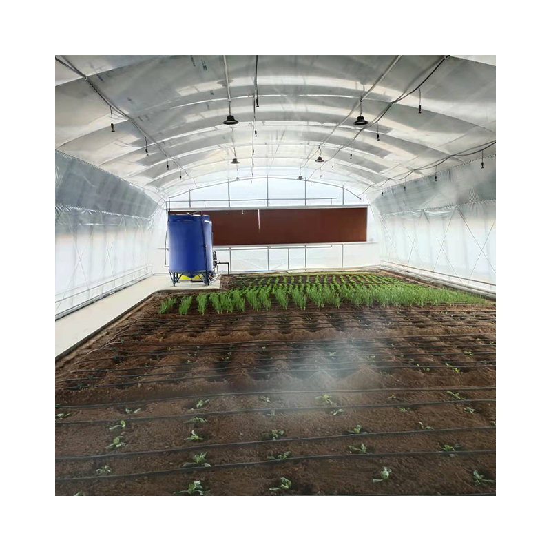 Low Cost Customized Commercial Poly Tunnel Plastic Film UV Resistant Arches Greenhouse For Vegetable Growing