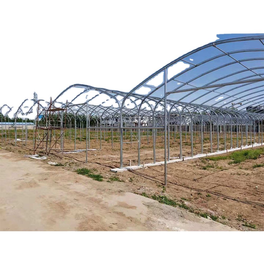 polyhouse plastic hoop house agricultural greenhouse