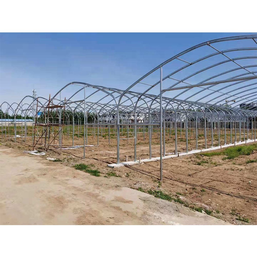 polyhouse plastic hoop house agricultural greenhouse