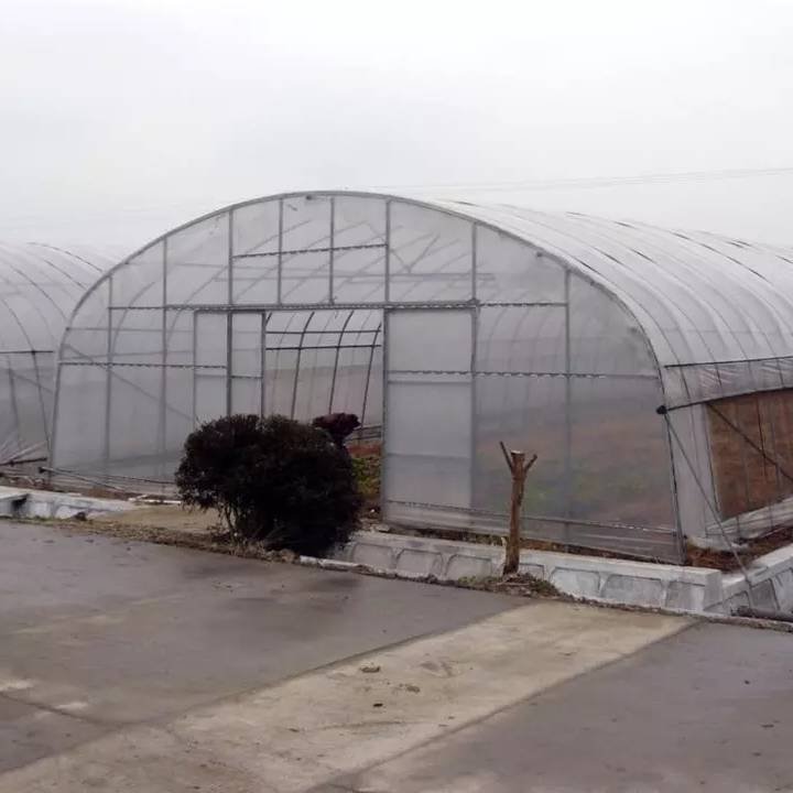 polyhouse plastic hoop house agricultural greenhouse