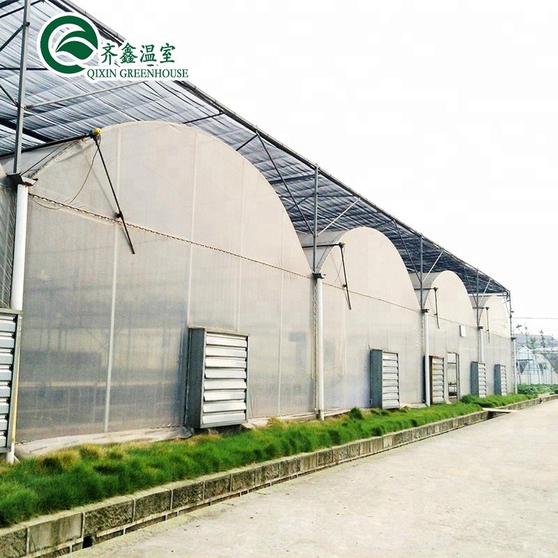 vertical hydroponic system
