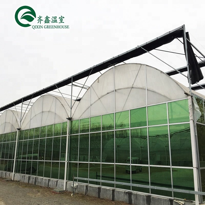 vertical hydroponic system
