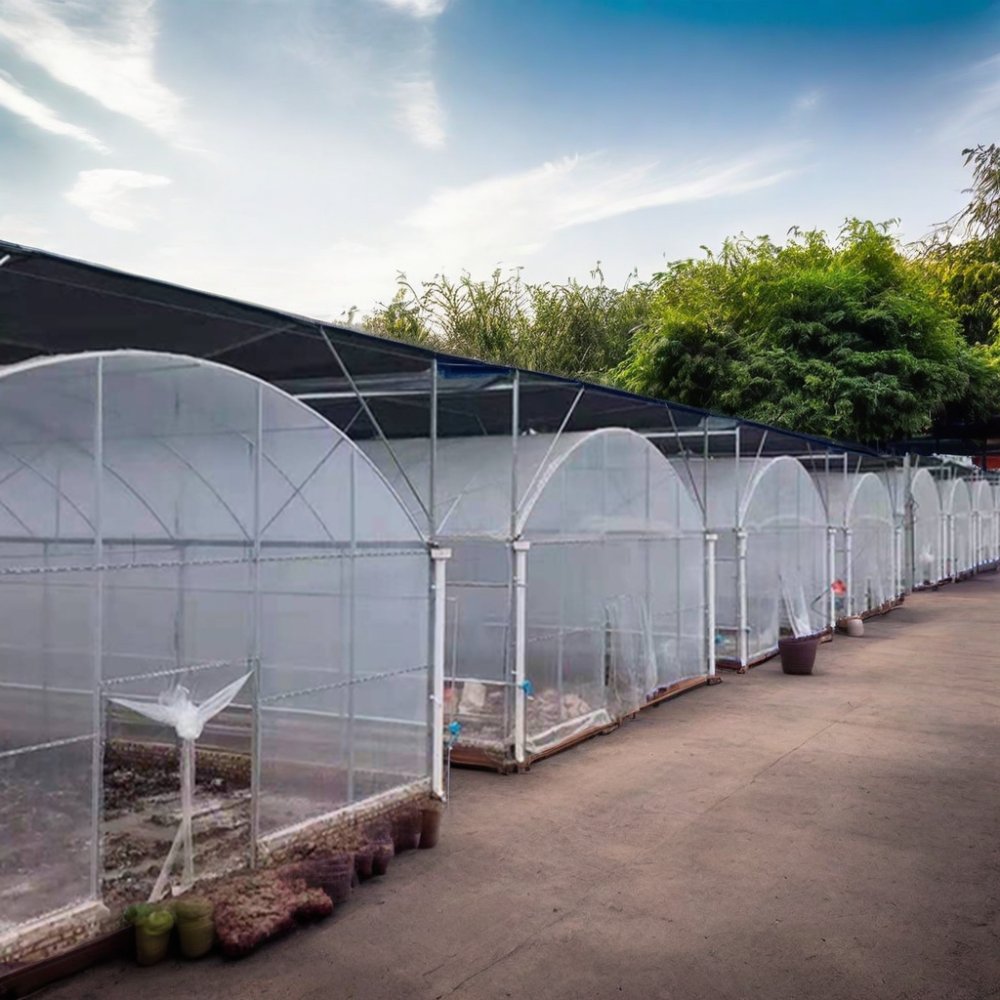 Large Simple Structure Tunnel Covered with PE Film Greenhouse