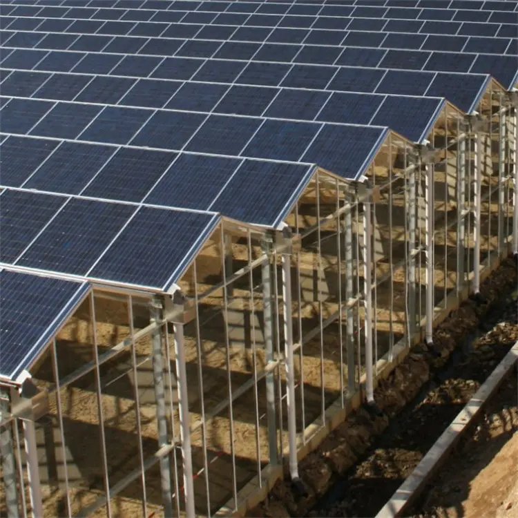 Agricultural Multi Span Hydroponic Venlo Glass Photovoltaic Solar Powered System Tunnel Greenhouse