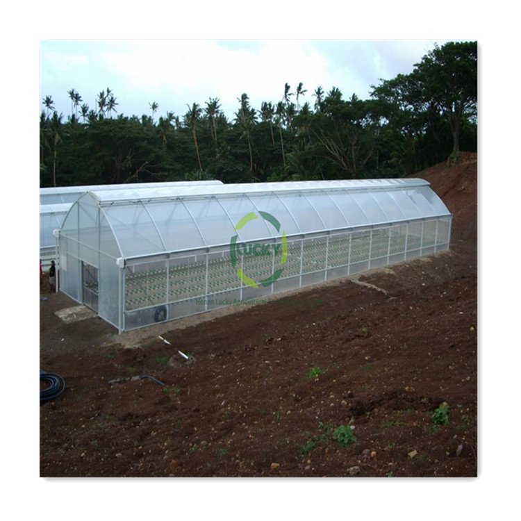 Agricultural Protect Insect Proof Mesh Sales Wholesale Price Commercial Greenhouse With 32Mm Single Span Greenhouse