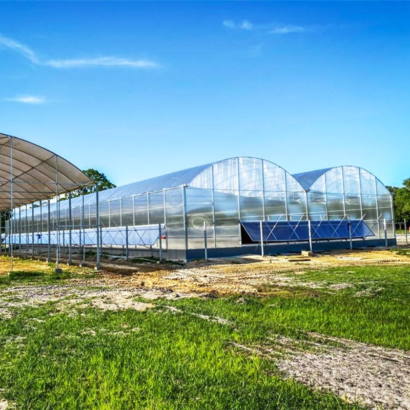 Multi Span Agricultural Greenhouse with Large Type Galvanized Steel Frame