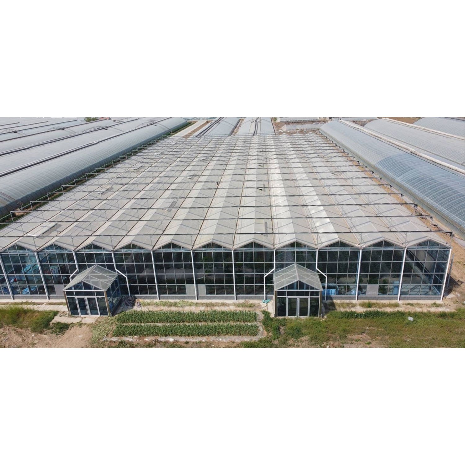 Modern Smart Agricultural Greenhouses Modern Multi-Span Greenhouses Venlo Type Glass Green House With High Light-Transmission