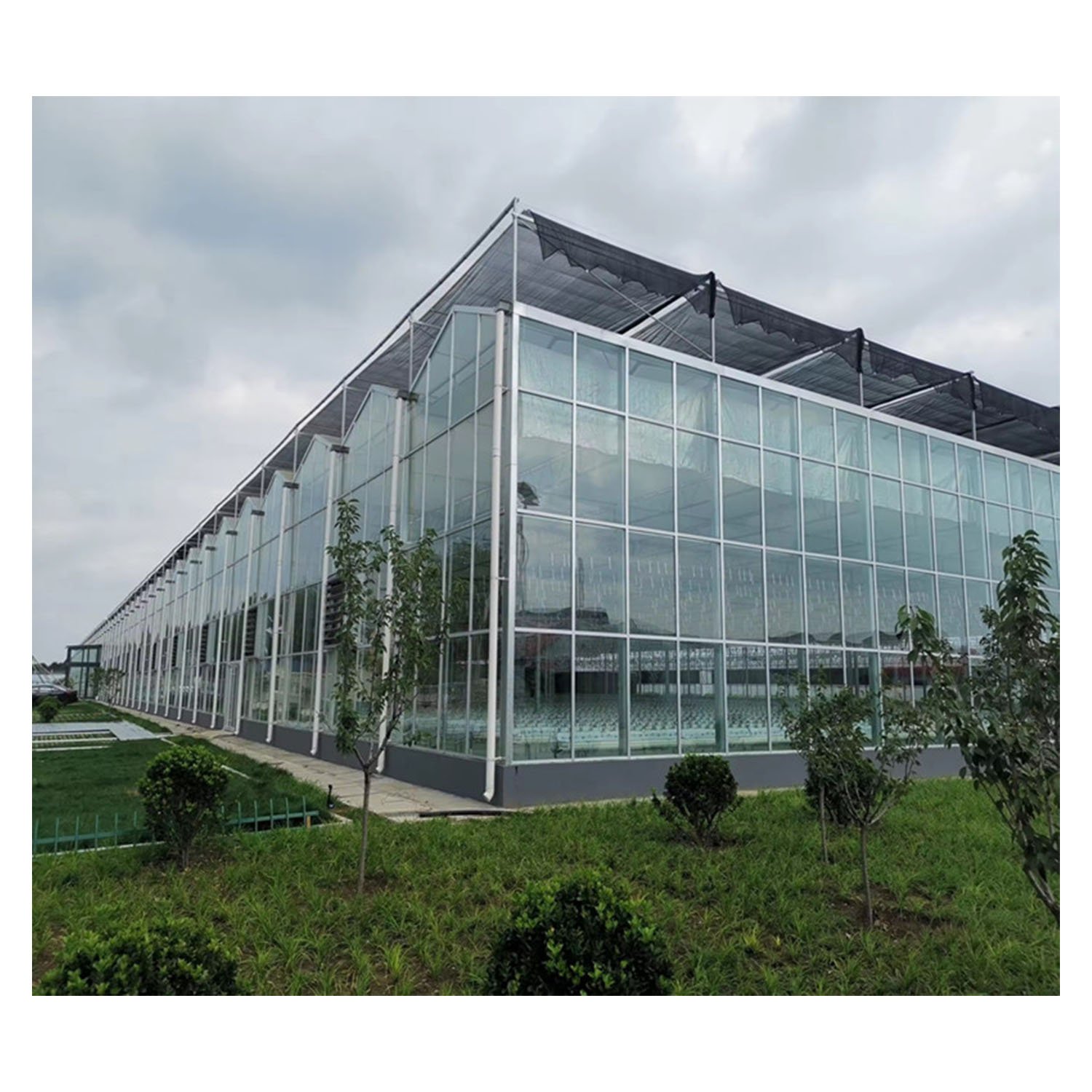 Modern Smart Agricultural Greenhouses Modern Multi-Span Greenhouses Venlo Type Glass Green House With High Light-Transmission
