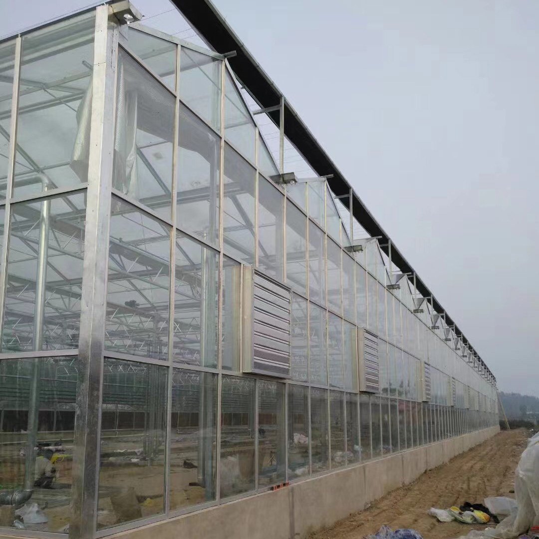 Agriculture Greenhouse For Planting Lettuce Hydroponic Growing Systems Smart Glass Greenhouses
