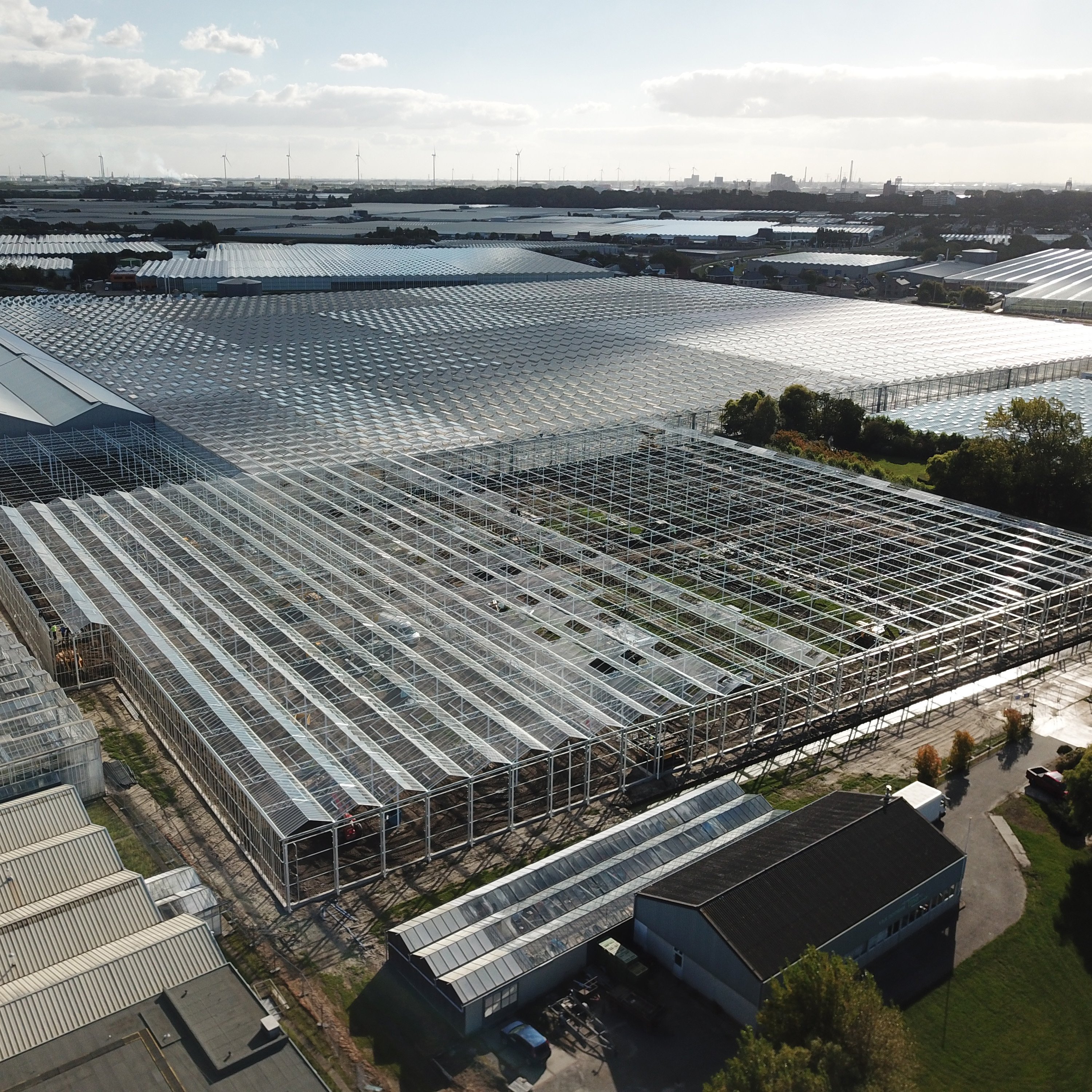 Agriculture Greenhouse For Planting Lettuce Hydroponic Growing Systems Smart Glass Greenhouses