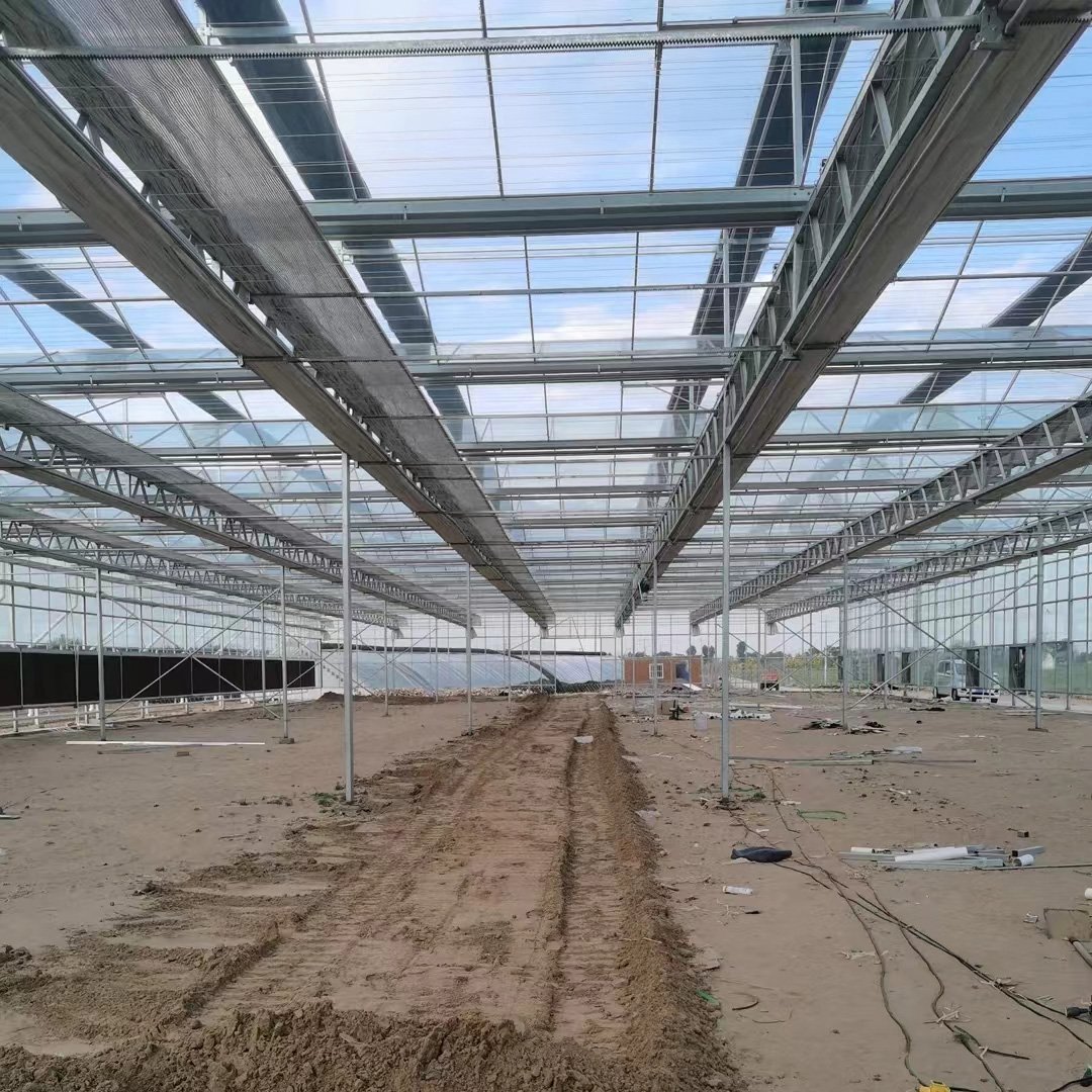 Agriculture Greenhouse For Planting Lettuce Hydroponic Growing Systems Smart Glass Greenhouses