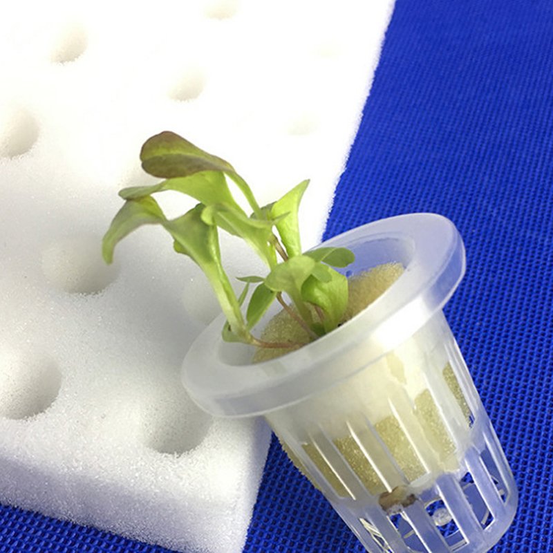 Manufacture Seed Hydroponic Greenhouse Planting Sponge PU Foam Agriculture Cultivation for Vegetables Garden Supplies